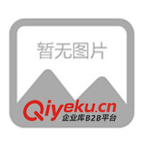 兒童投幣搖擺機、搖搖車、蹺蹺板、軌道火車